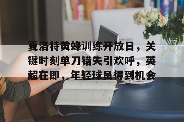J9九游会官方网站-关于夏洛特黄蜂训练开放日，关键时刻单刀错失引欢呼，英超在即，年轻球员得到机会的信息